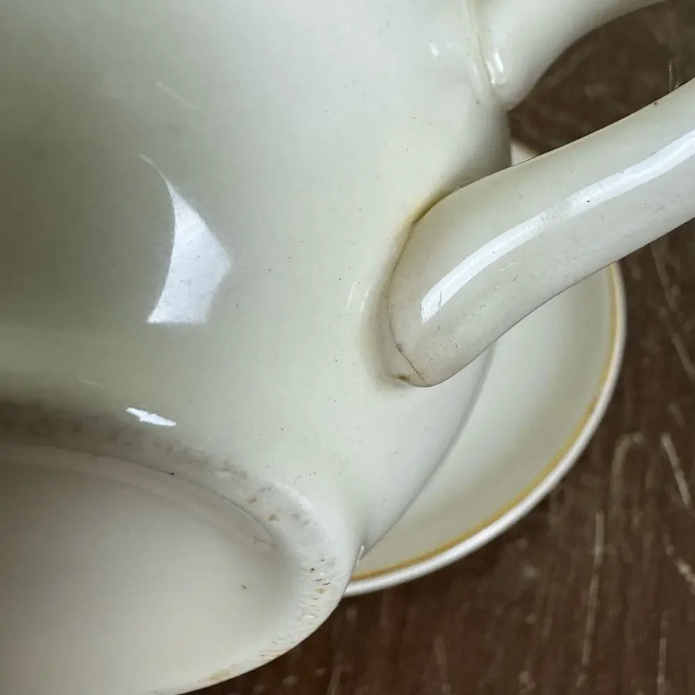 Homer Laughlin‎ Golden Wheat VINTAGE 24K Gold Accent Tea cup & saucer